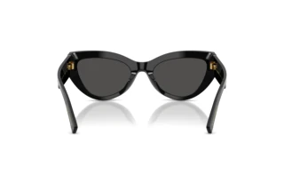 [glasses-back-view] Dolce & Gabbana DG4536 (501/87)
