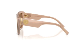 [glasses-side-view] Dolce & Gabbana DG4538 (304273)