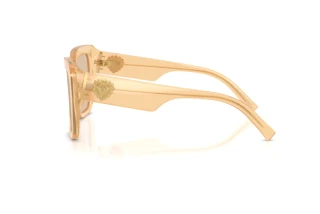 Zijaanzicht Dolce & Gabbana DG4538 (308993)