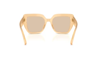 Achteraanzicht Dolce & Gabbana DG4538 (308993)