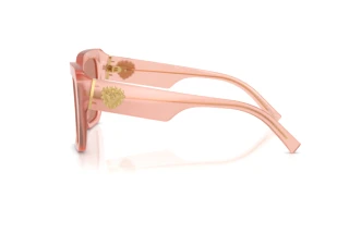 Zijaanzicht Dolce & Gabbana DG4538 (338496)