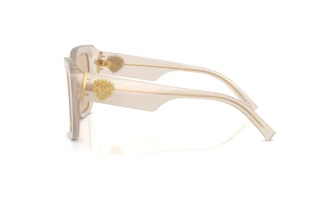 Zijaanzicht Dolce & Gabbana DG4538 (342093)
