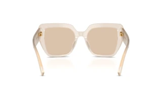 Achteraanzicht Dolce & Gabbana DG4538 (342093)