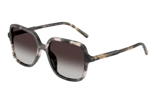 Vista frontal Dolce & Gabbana DG4539 (31728G)