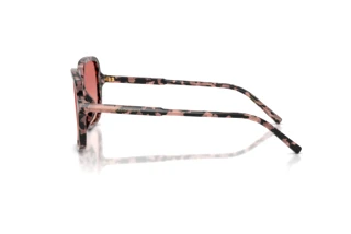 Vedere laterală Dolce & Gabbana DG4539 (3476A5)