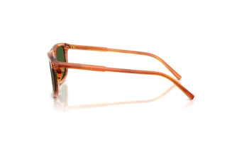 Vedere laterală Dolce & Gabbana DG4542 (348371)