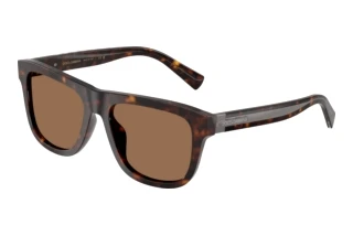 [glasses-front-view] Dolce & Gabbana DG4545 (502/73)