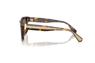 [glasses-side-view] Dolce & Gabbana DG4559 (502/73)