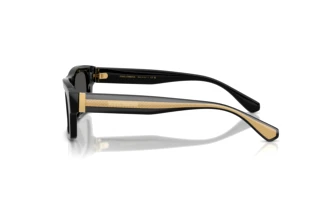 [glasses-side-view] Dolce & Gabbana DG4560 (501/87)