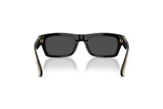 [glasses-back-view] Dolce & Gabbana DG4560 (501/87)
