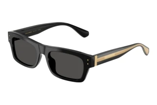 [glasses-front-view] Dolce & Gabbana DG4560 (501/87)