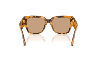 [glasses-back-view] Dolce & Gabbana DG4563 (349663)