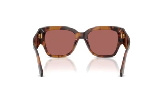 [glasses-back-view] Dolce & Gabbana DG4563 (349769)