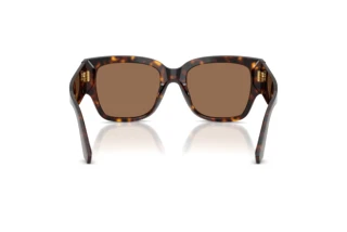 [glasses-back-view] Dolce & Gabbana DG4563 (502/73)