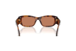 [glasses-back-view] Dolce & Gabbana DG4564 (3497/3)