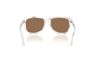 [glasses-back-view] Dolce & Gabbana DG4566 (349573)