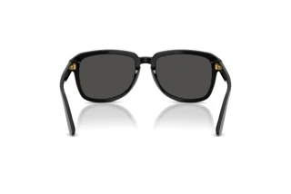 [glasses-back-view] Dolce & Gabbana DG4566 (501/87)