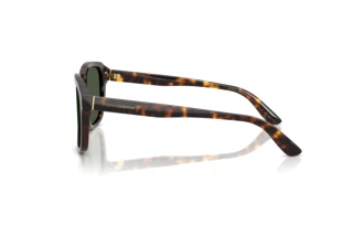 Sivukuva Dolce & Gabbana DG4566 (502/9A)