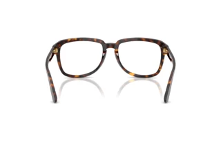 [glasses-back-view] Dolce & Gabbana DG4566 (502/SB)