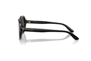 [glasses-side-view] Dolce & Gabbana DG4567 (501/87)