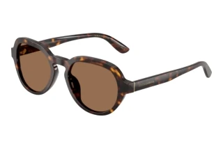 [glasses-front-view] Dolce & Gabbana DG4567 (502/73)