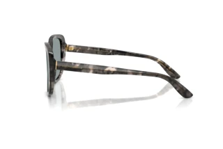 [glasses-side-view] Dolce & Gabbana DG4569 (3172/1)