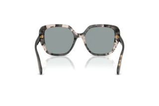 [glasses-back-view] Dolce & Gabbana DG4569 (3172/1)