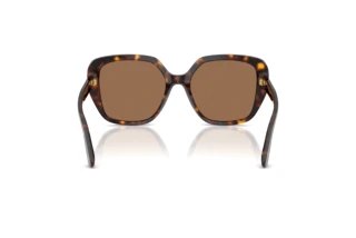 [glasses-back-view] Dolce & Gabbana DG4569 (502/73)