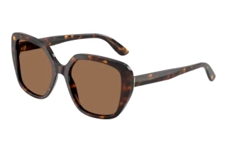 [glasses-front-view] Dolce & Gabbana DG4569 (502/73)