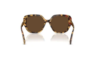 [glasses-back-view] Dolce & Gabbana DG4569 (512/73)