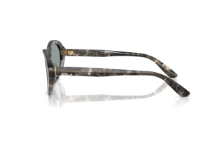 [glasses-side-view] Dolce & Gabbana DG4570 (3172/1)