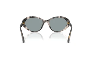 [glasses-back-view] Dolce & Gabbana DG4570 (3172/1)