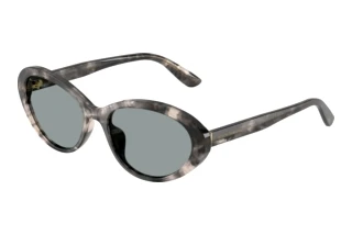 [glasses-front-view] Dolce & Gabbana DG4570 (3172/1)