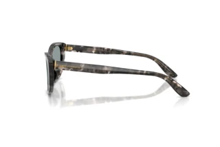 [glasses-side-view] Dolce & Gabbana DG4571 (3172/1)