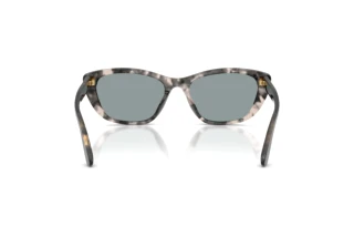 [glasses-back-view] Dolce & Gabbana DG4571 (3172/1)