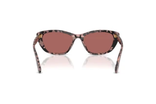 [glasses-back-view] Dolce & Gabbana DG4571 (347669)