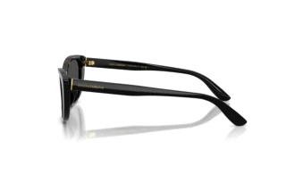 [glasses-side-view] Dolce & Gabbana DG4571 (501/87)