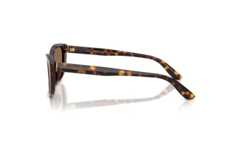 [glasses-side-view] Dolce & Gabbana DG4571 (502/73)