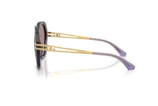[glasses-side-view] Dolce & Gabbana DG6210 (3494LA)