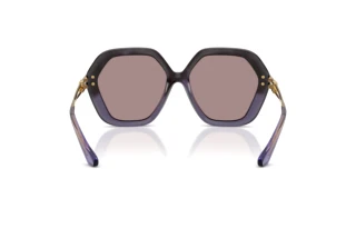 [glasses-back-view] Dolce & Gabbana DG6210 (3494LA)