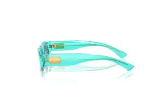 [glasses-side-view] Dolce & Gabbana DX4005 (332280)