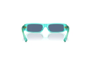 [glasses-back-view] Dolce & Gabbana DX4005 (332280)