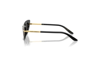 [glasses-side-view] Dolce & Gabbana DX4008 (316397)
