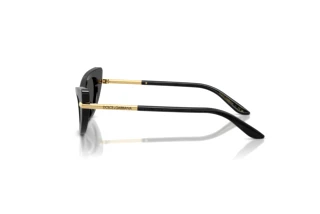 [glasses-side-view] Dolce & Gabbana DX4008 (324187)