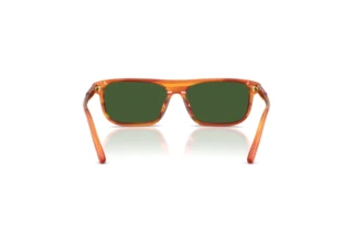 [glasses-back-view] Dolce & Gabbana DX4009 (348371)