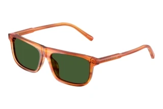 [glasses-front-view] Dolce & Gabbana DX4009 (348371)