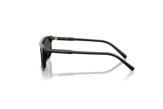 [glasses-side-view] Dolce & Gabbana DX4009 (501/87)