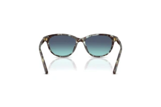[glasses-back-view] Dolce & Gabbana DX4010 (34434S)