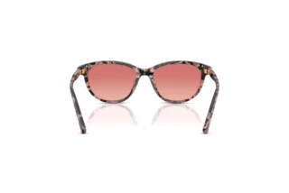 [glasses-back-view] Dolce & Gabbana DX4010 (3476A5)