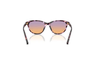 [glasses-back-view] Dolce & Gabbana DX4010 (3477EL)